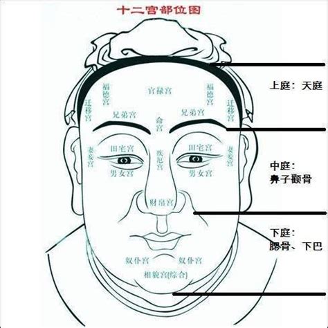 50歲行咩運|【50至60歲面相】揭密！50至60歲面相圖解，掌握晚年運勢密碼